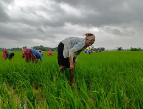 PM Kisan Yojna: इस दिन जारी हो सकती है किसान सम्मान निधि की किस्त, आया बड़ा अपडेट
